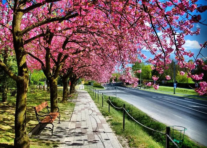 Karesz Nyaralohaz בית נופש *